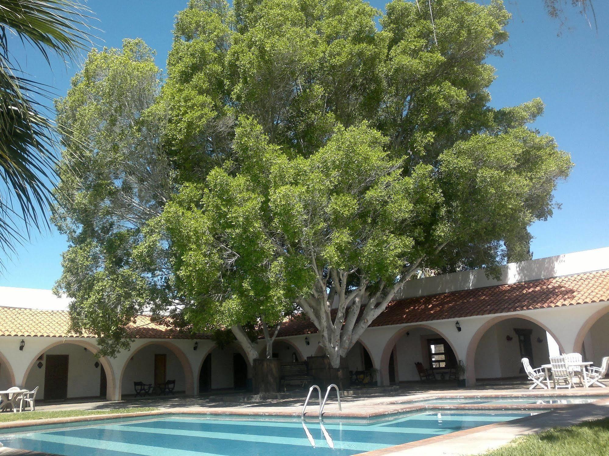 Hotel Mision Catavina Exterior foto